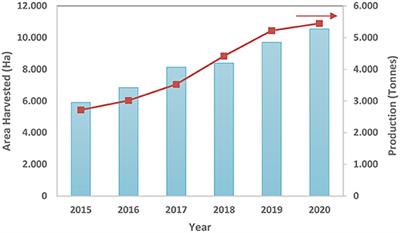 Hemp seeds: Nutritional value, associated bioactivities and the potential food applications in the Colombian context